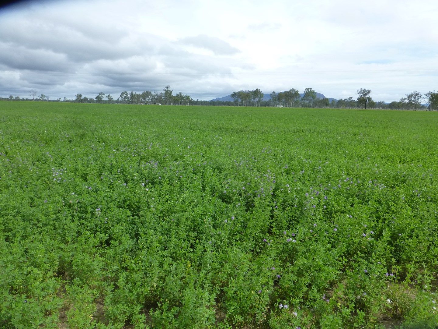 Lot 17 OLD COACH ROAD, Degilbo QLD 4621, Image 0