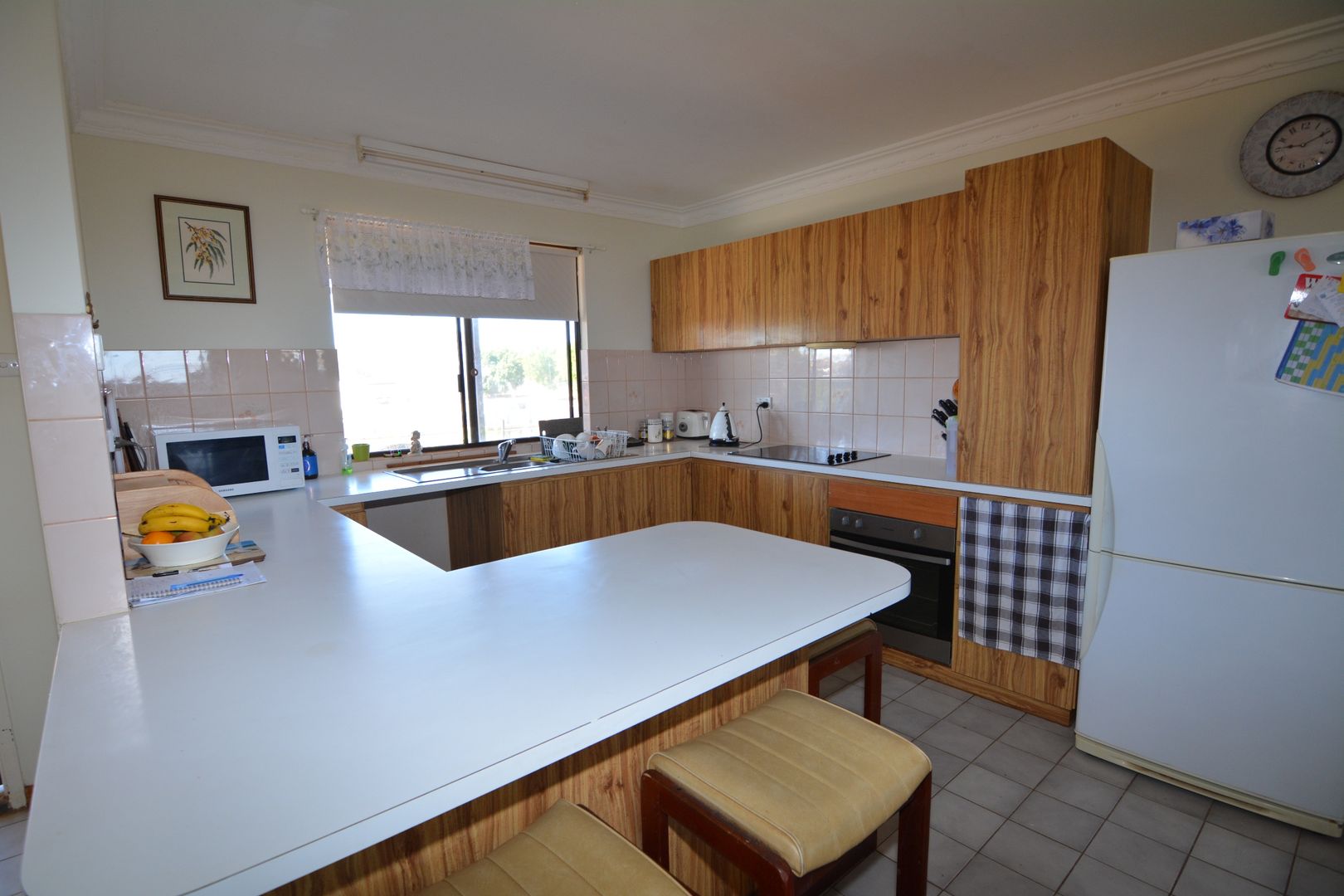 49 Cornish Street, Carnarvon WA 6701, Image 1