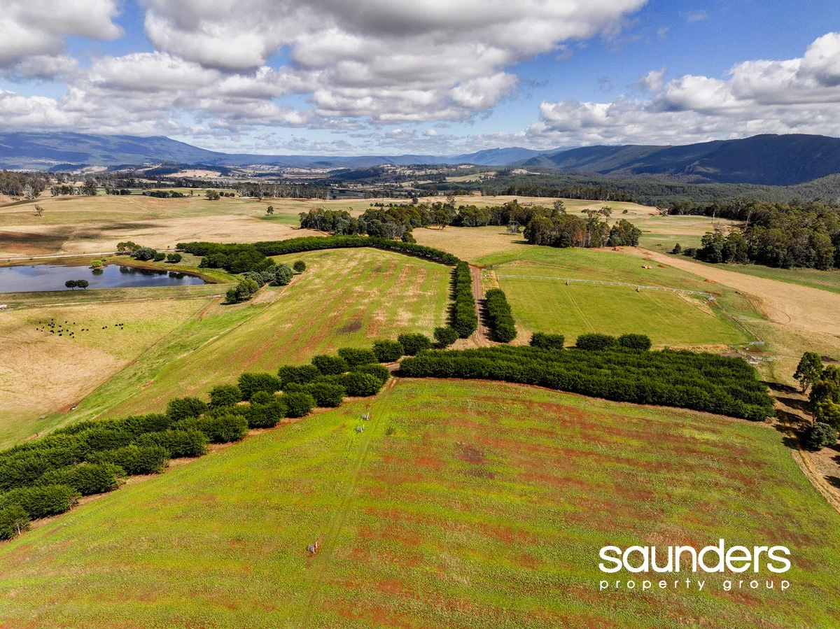 Additional image 31 of 110 Trickett Road, Needles TAS 7304