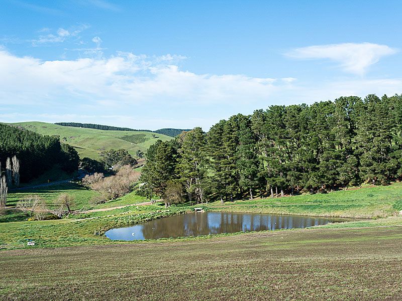 Lot 3 Bull Creek Road, Bull Creek SA 5157, Image 1