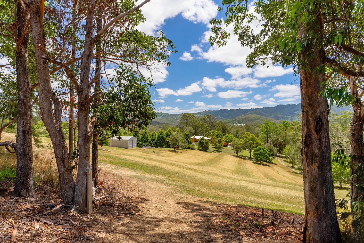 26 Citrus Road, Palmwoods QLD 4555 Vacant Land for Sale Domain