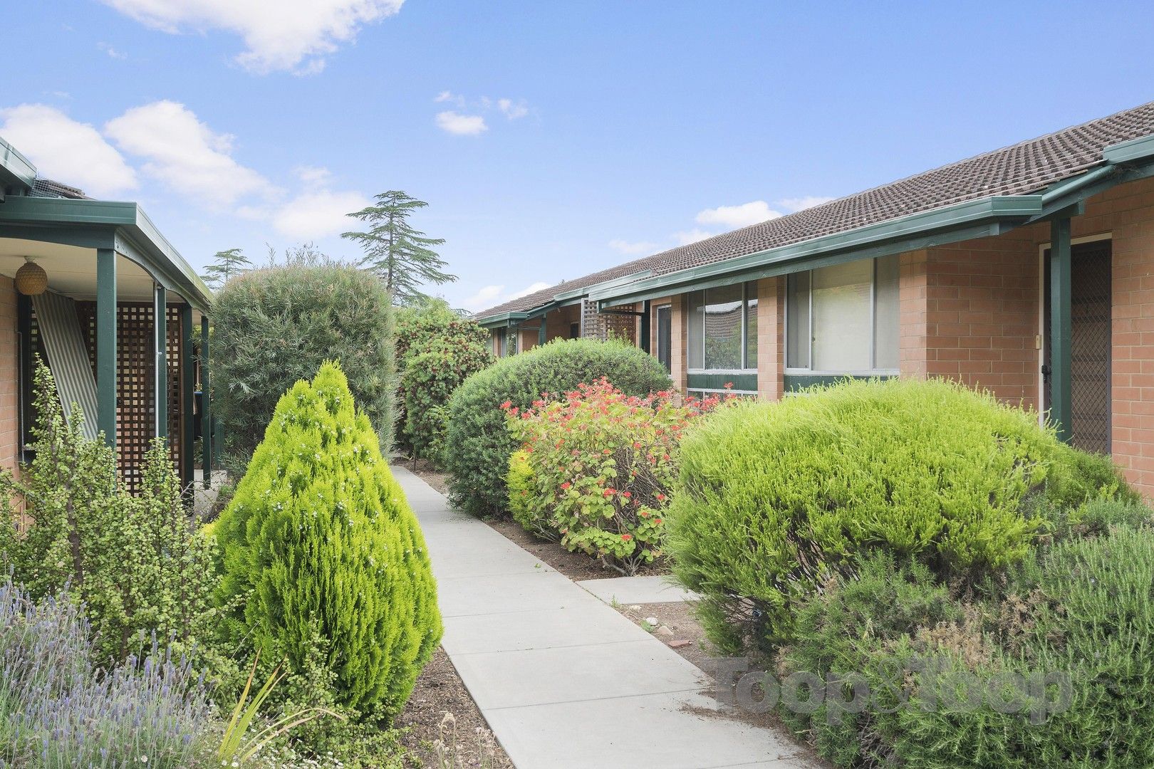 2 bedrooms Apartment / Unit / Flat in 3/31 Wellington Street KLEMZIG SA, 5087