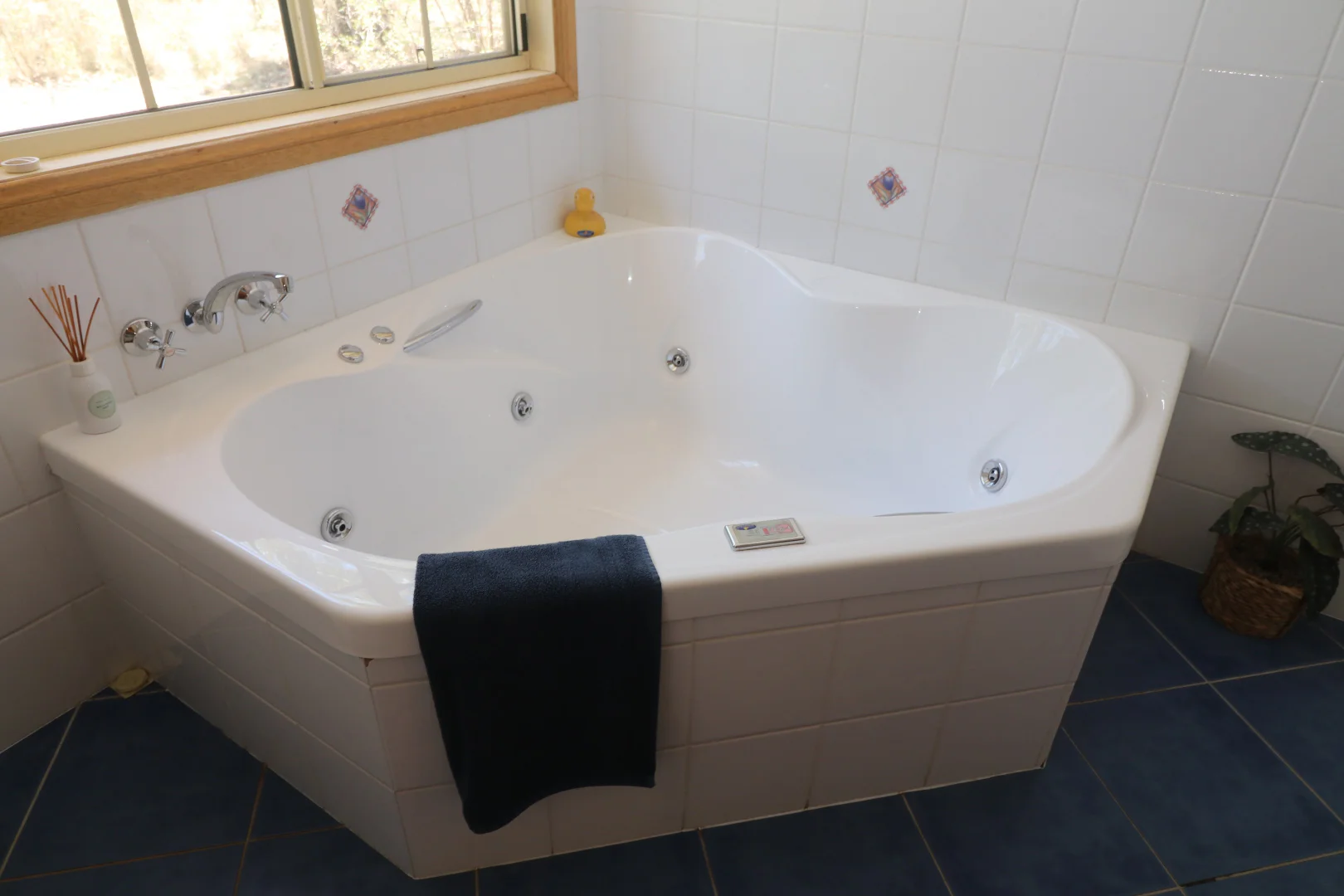 Additional image 22 of 157 Sundown Road, Ballandean QLD 4382