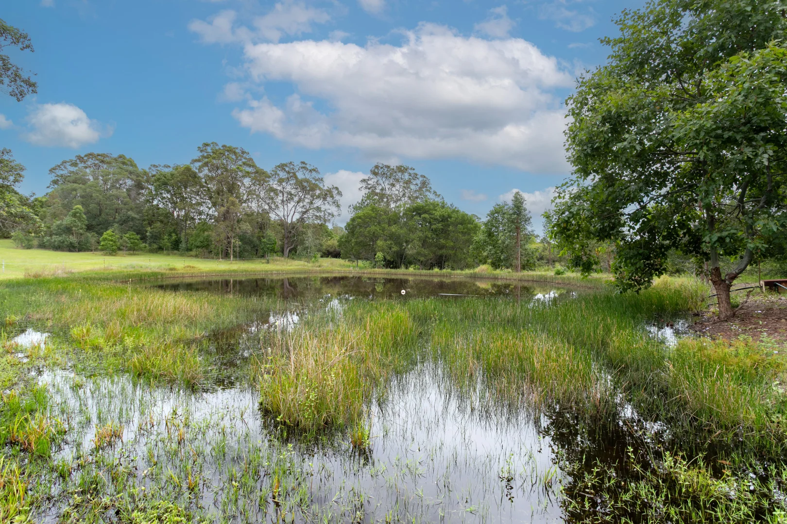Additional image 30 of 46 Knobby Glen Road, Kandanga QLD 4570
