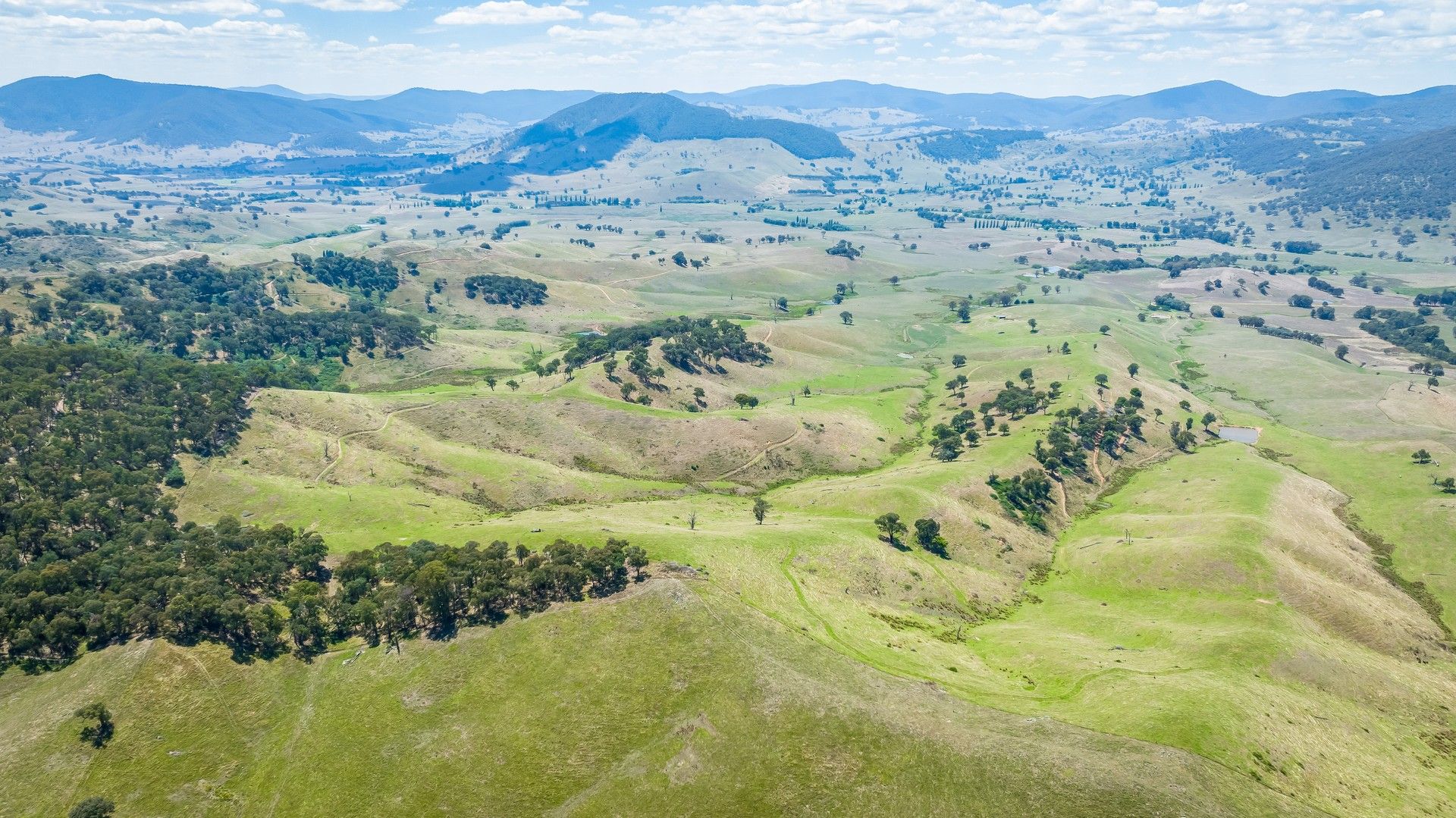 "Tom's" Tallys Lane, Tallangatta Valley VIC 3701, Image 0