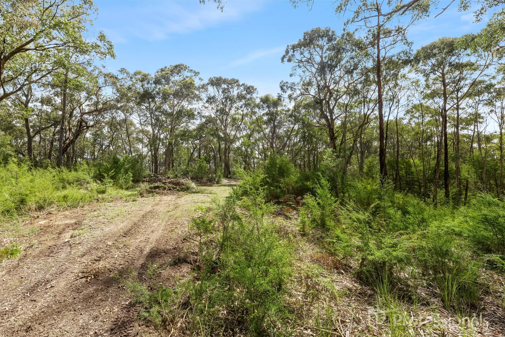 Additional image 6 of 221 Milners Road, Yarra Junction VIC 3797
