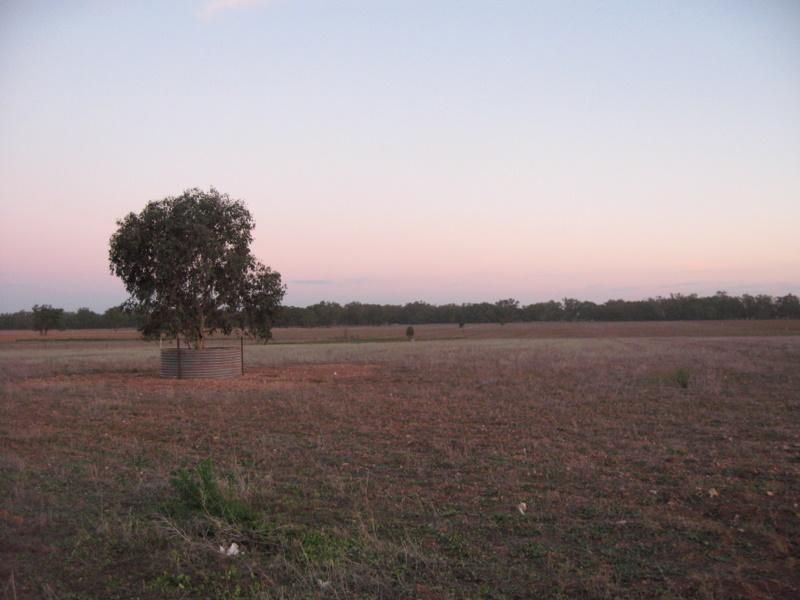 Lot 400 Watts Lane, TICHBORNE NSW 2870, Image 0