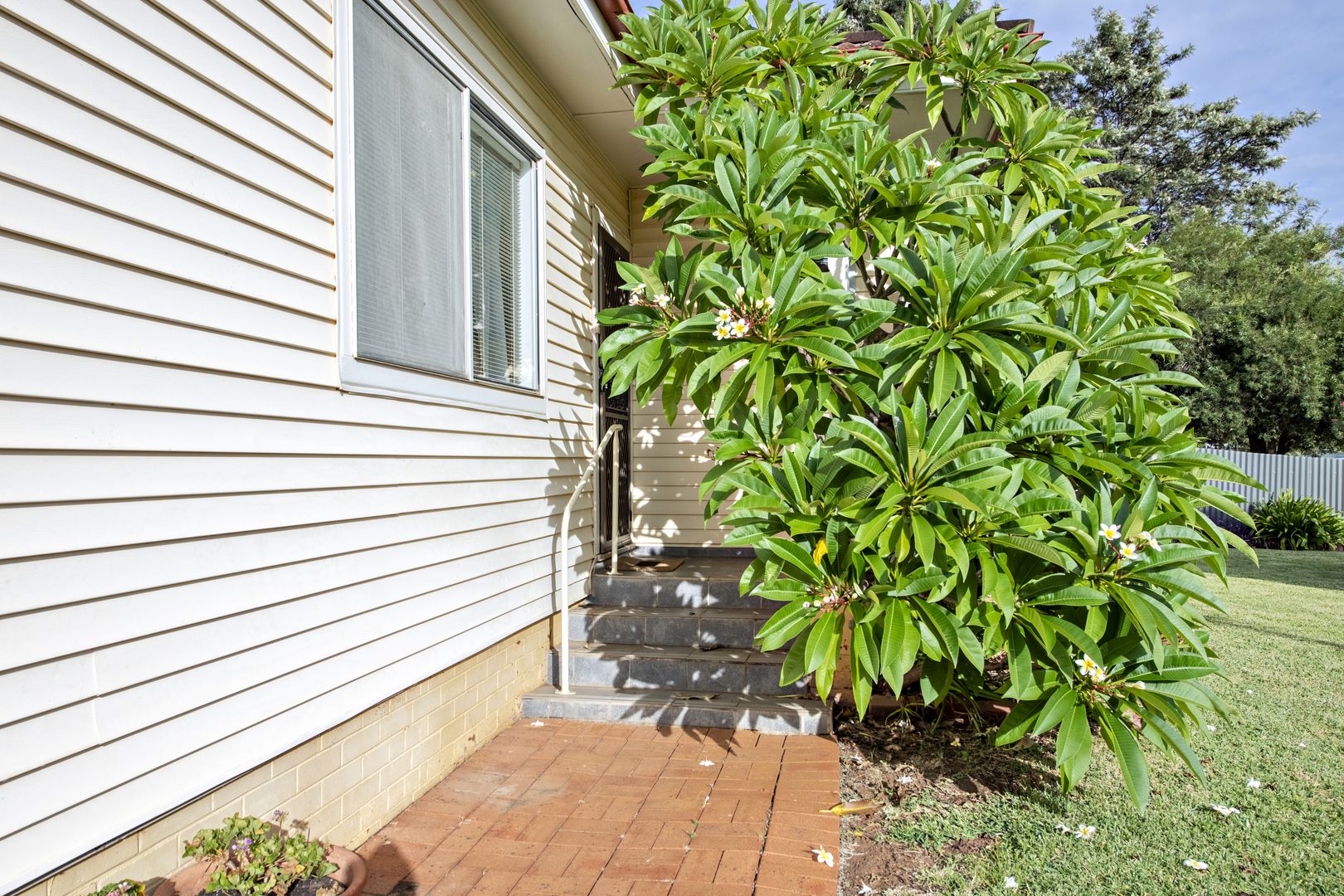 36 East Street, Dubbo NSW 2830, Image 1