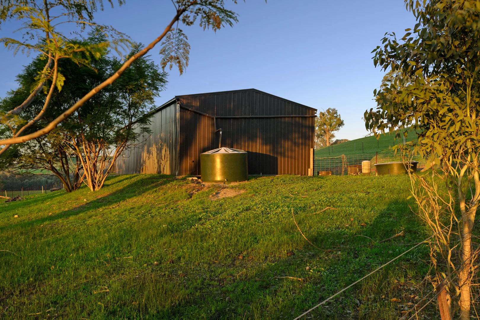 Image 38