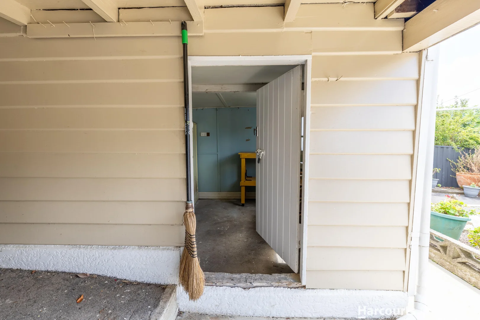 Image 19