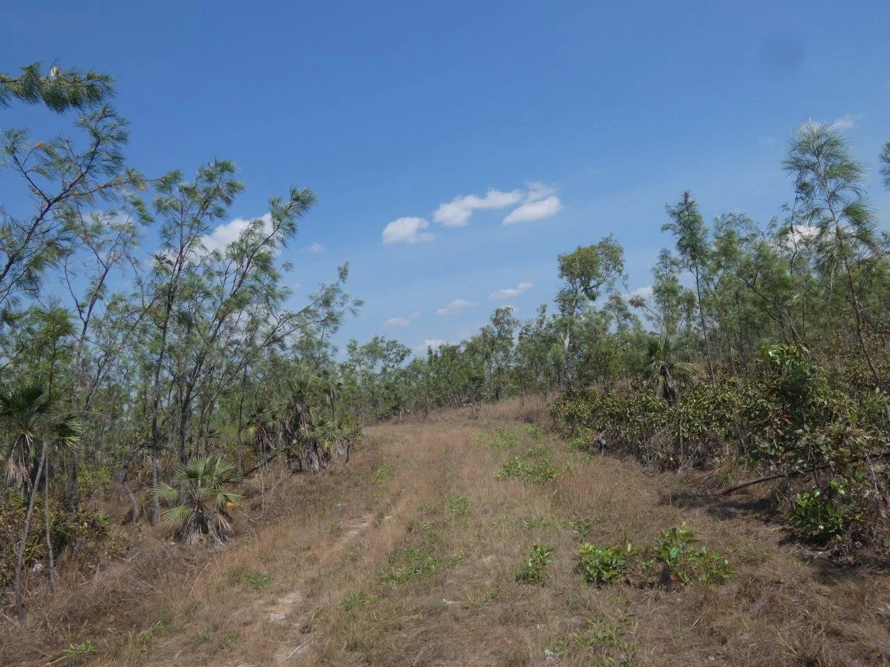 Image 10