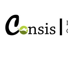 Consis Property Group, Sales representative