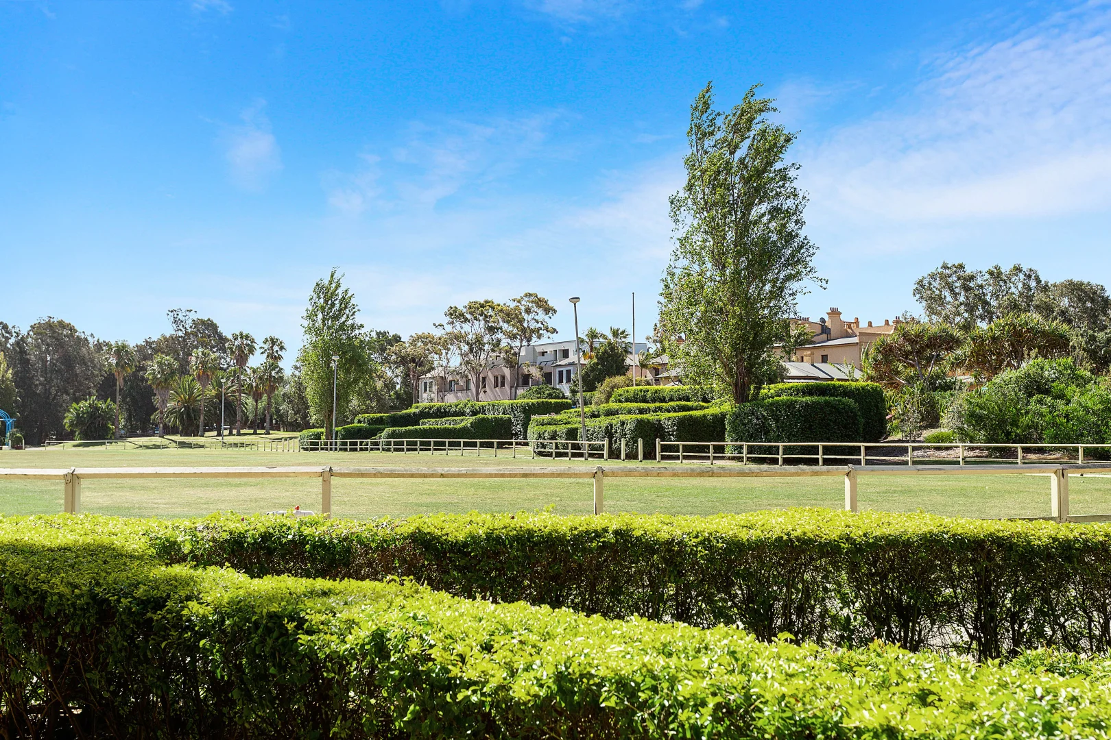 34 Dent Street, Botany NSW 2019 | Domain