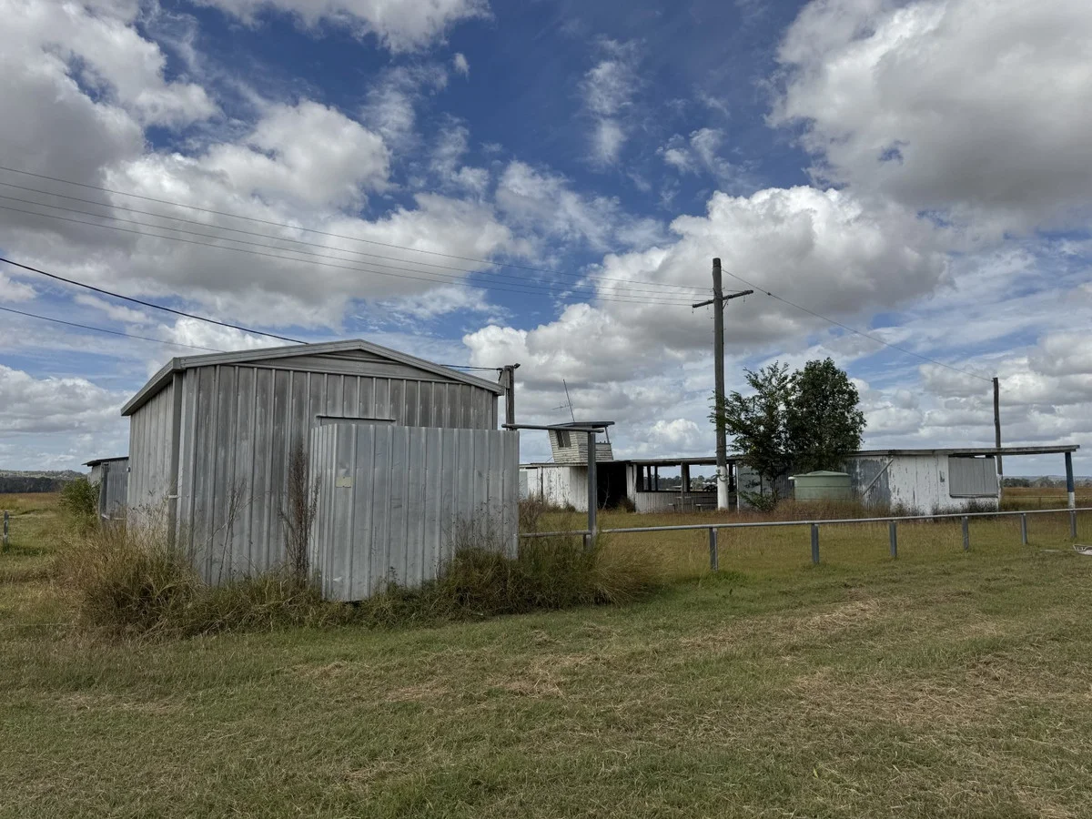 Image 12