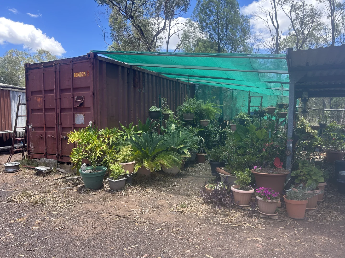 Image 20
