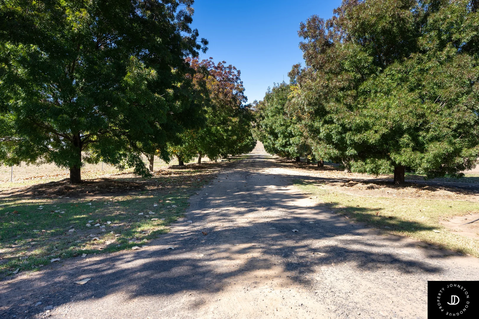 Image 13