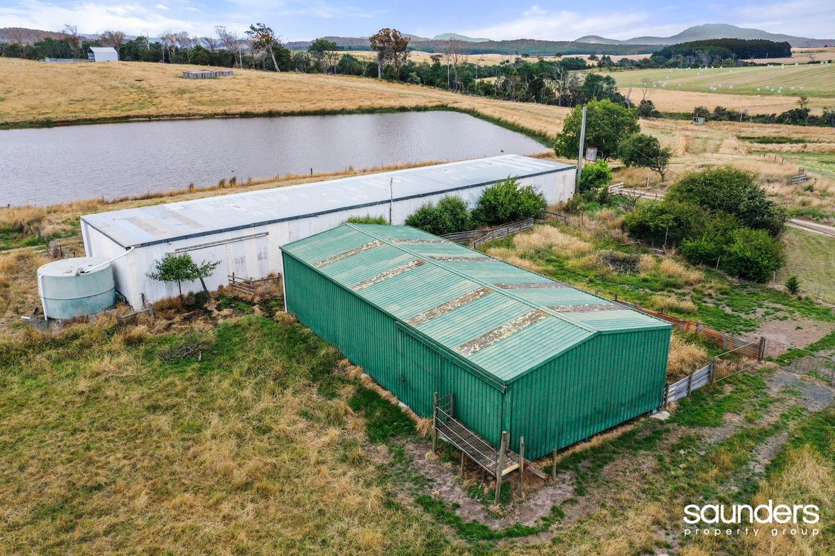 2431 Bridport Road, Bridport TAS 7262 House for Sale Domain