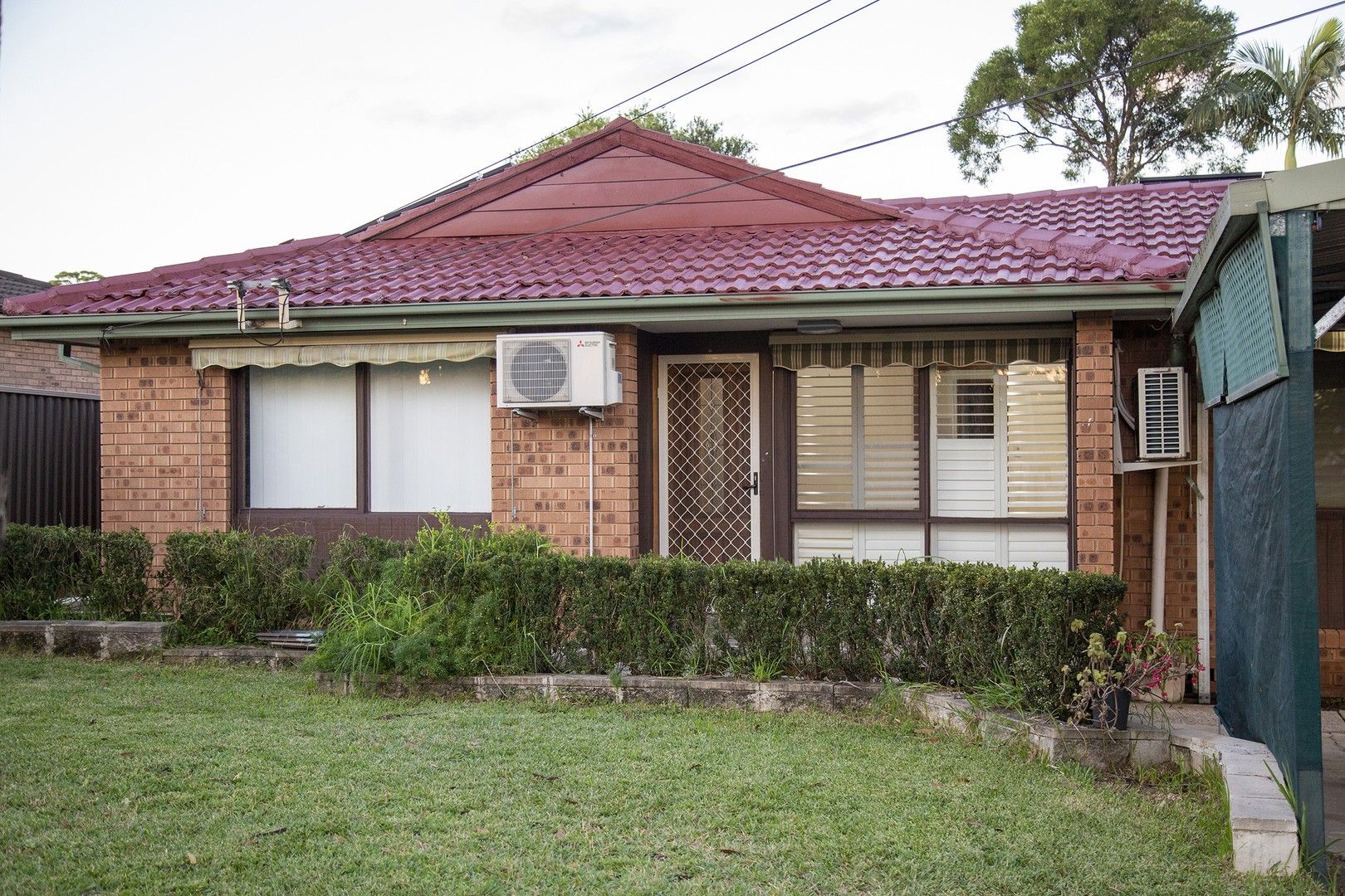 367 Blacktown Road, Toongabbie NSW 2146 House For Rent Domain