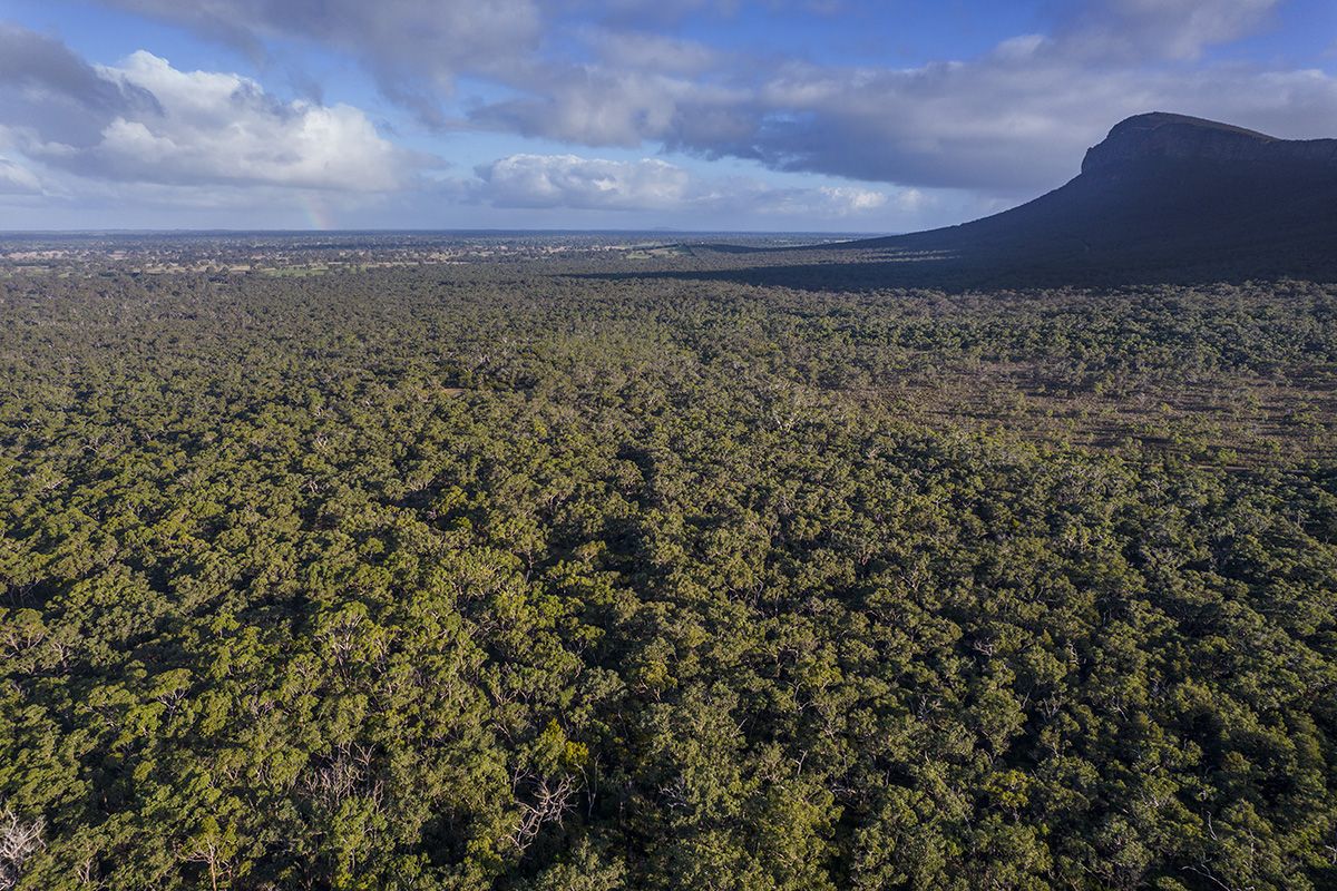 Grampians Road, Bornes Hill VIC 3379, Image 0