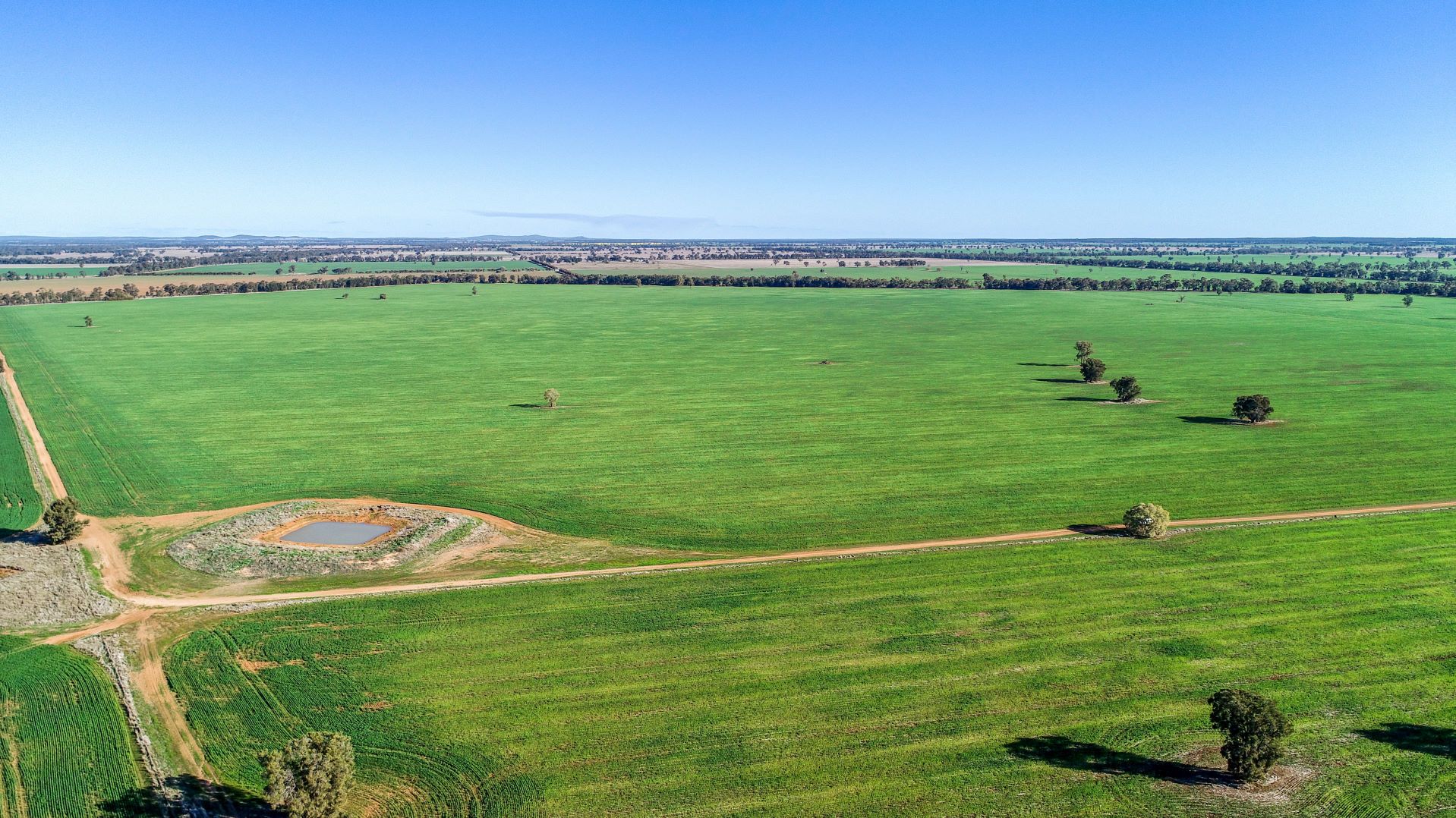 Omagh View 1667 Alagala Road, Tullamore NSW 2874, Image 0