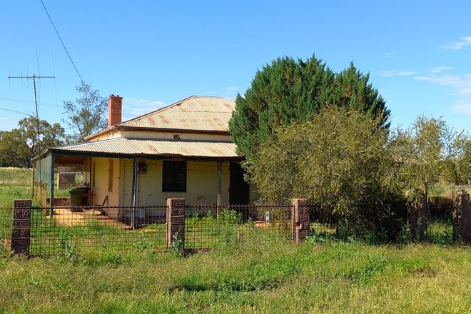 Picture of 2 Short Street, TRUNDLE NSW 2875