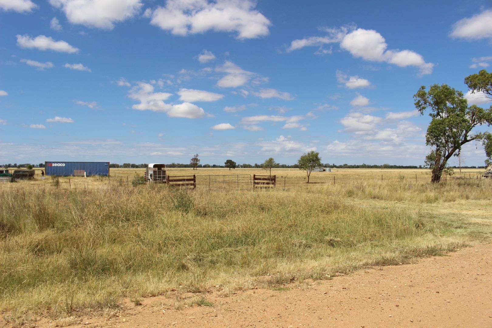 636 Arthursleigh Rd, Gilgandra NSW 2827 House for Sale 218,000