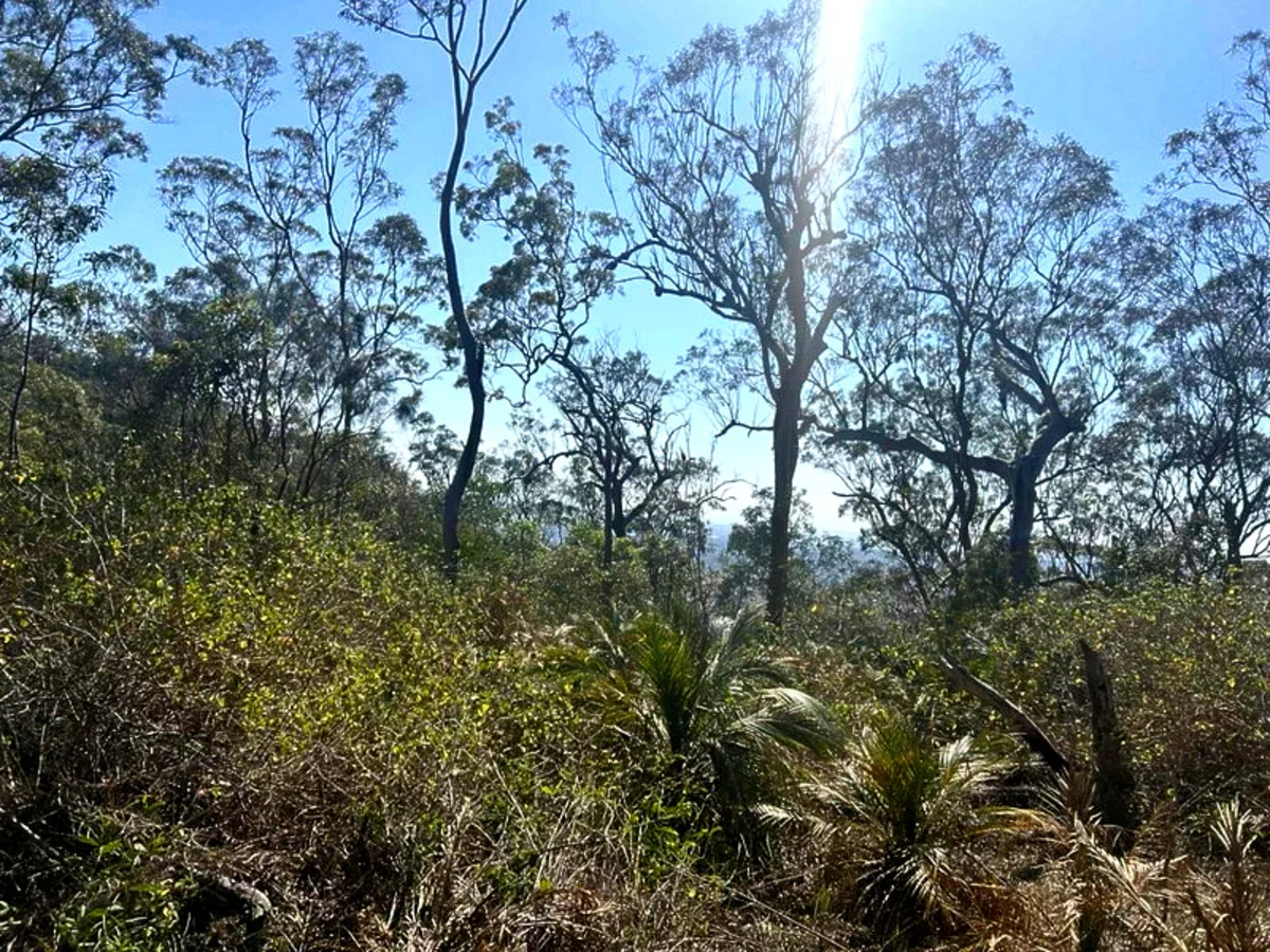 Additional image 2 of 1290 Nine Mile Road, Nine Mile Creek QLD 4714