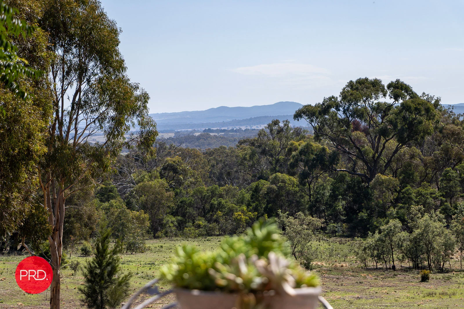 Additional image 7 of 141 Shepherd Road, Bywong NSW 2621