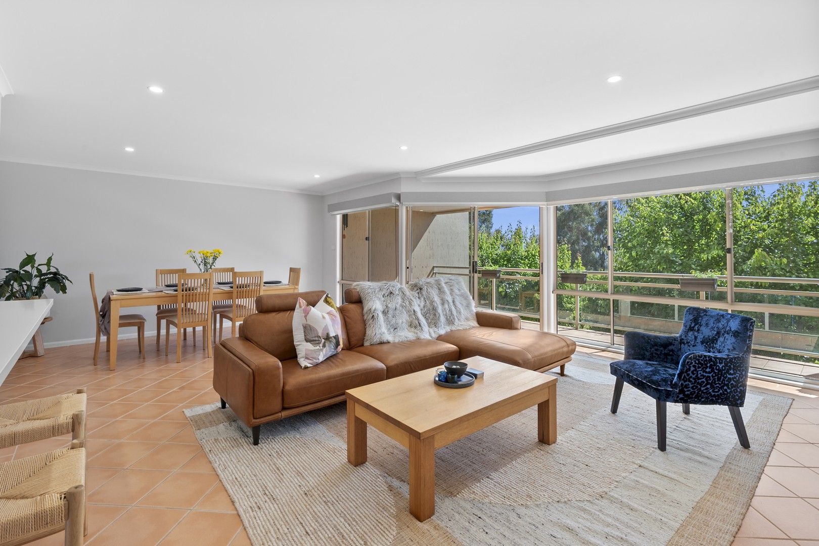 5/34 Leahy Close, Narrabundah ACT 2604, Image 1