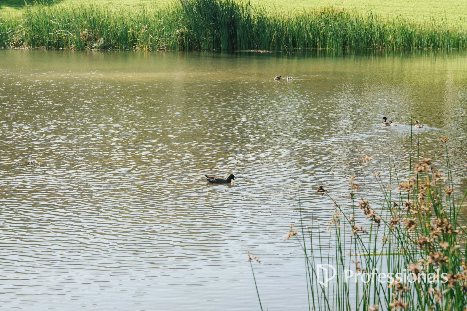 Additional image 21 of 9 Ochre Place, Mount Waverley VIC 3149