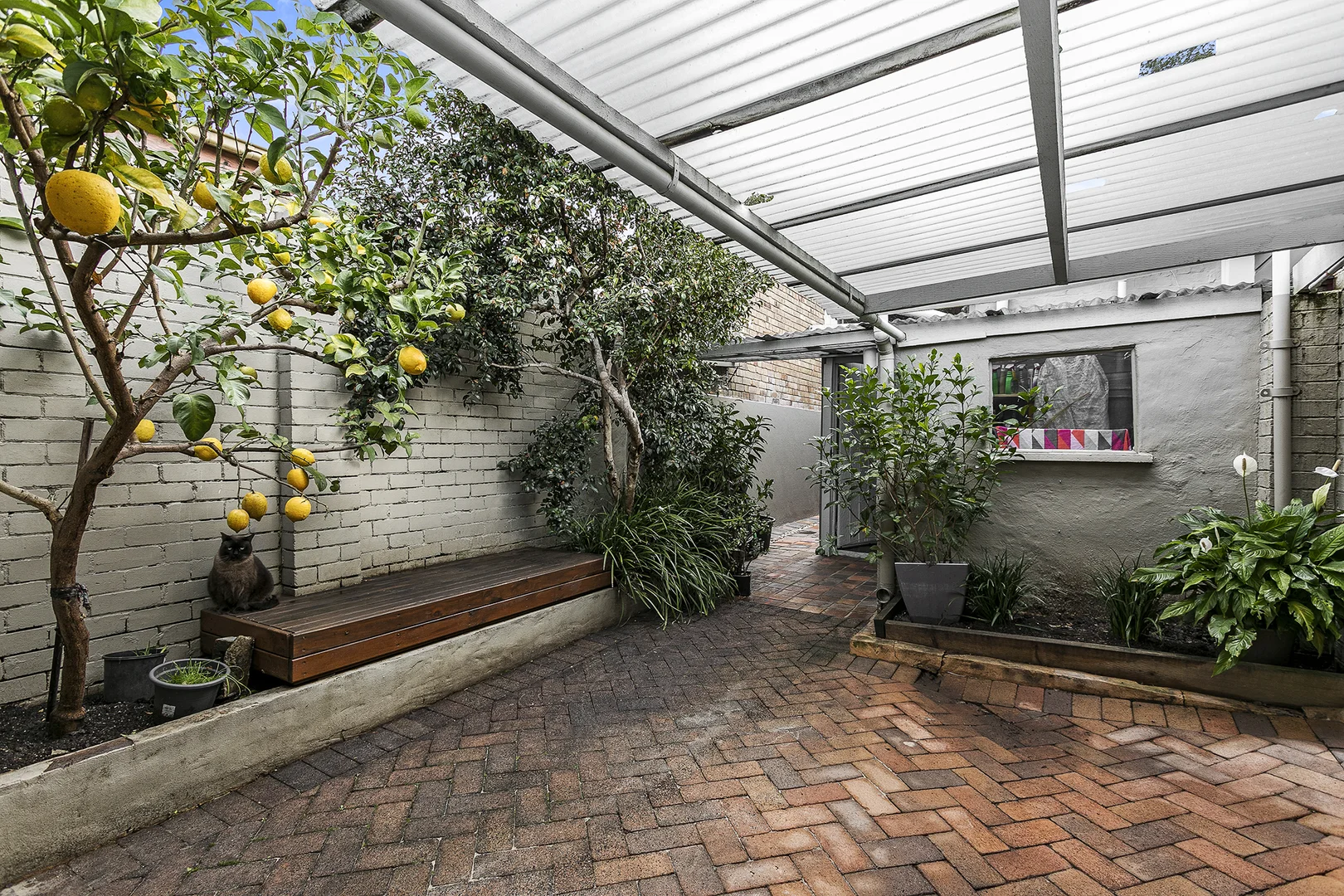 Additional image 7 of 125 Marriott Street, Redfern NSW 2016