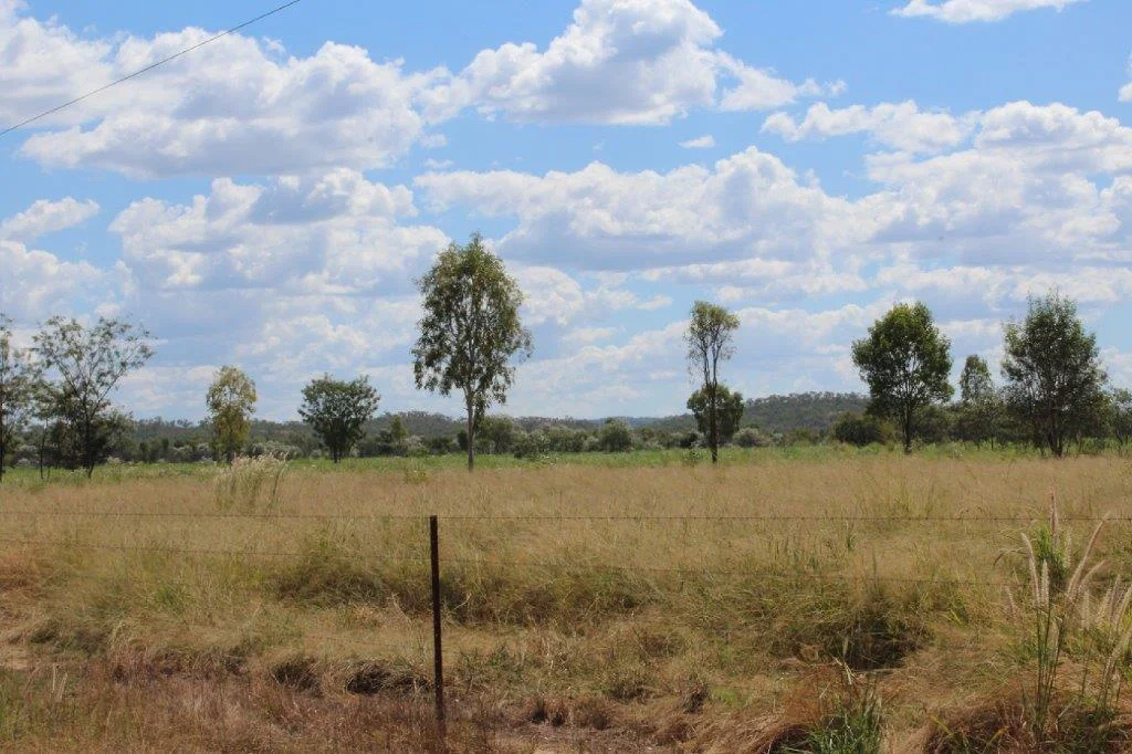 Image 15