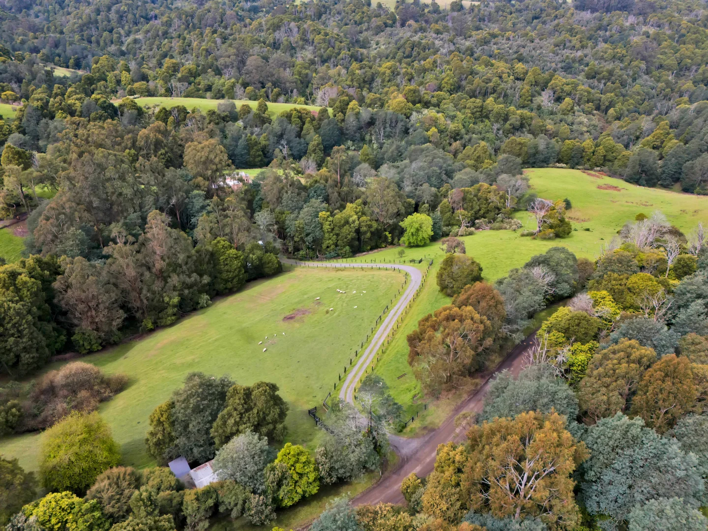 Additional image 13 of 160 Nippards Track, Woorarra West VIC 3960