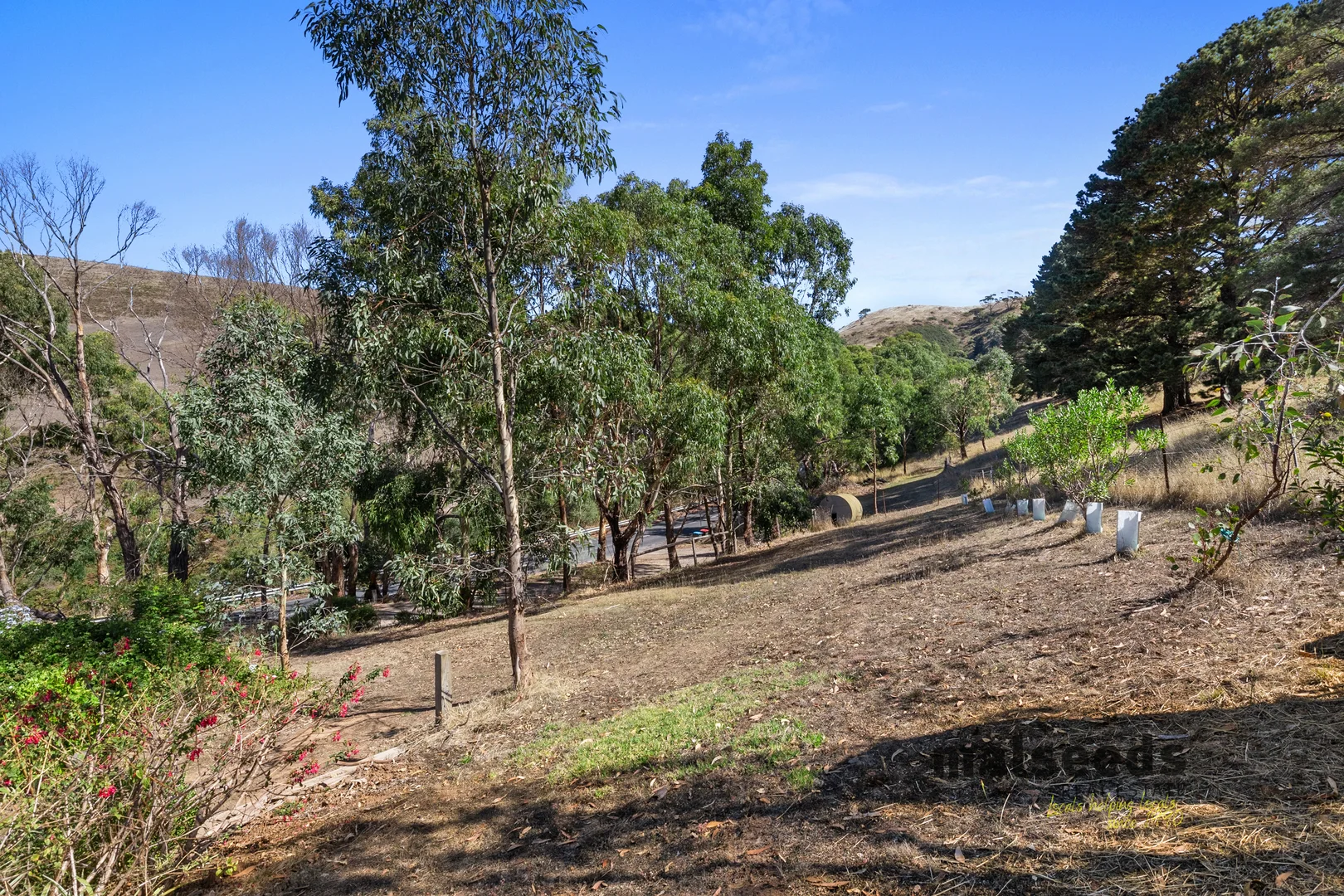 Additional image 35 of 1173 Bull Creek Road, Ashbourne SA 5157