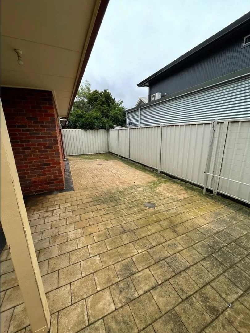 Image 15