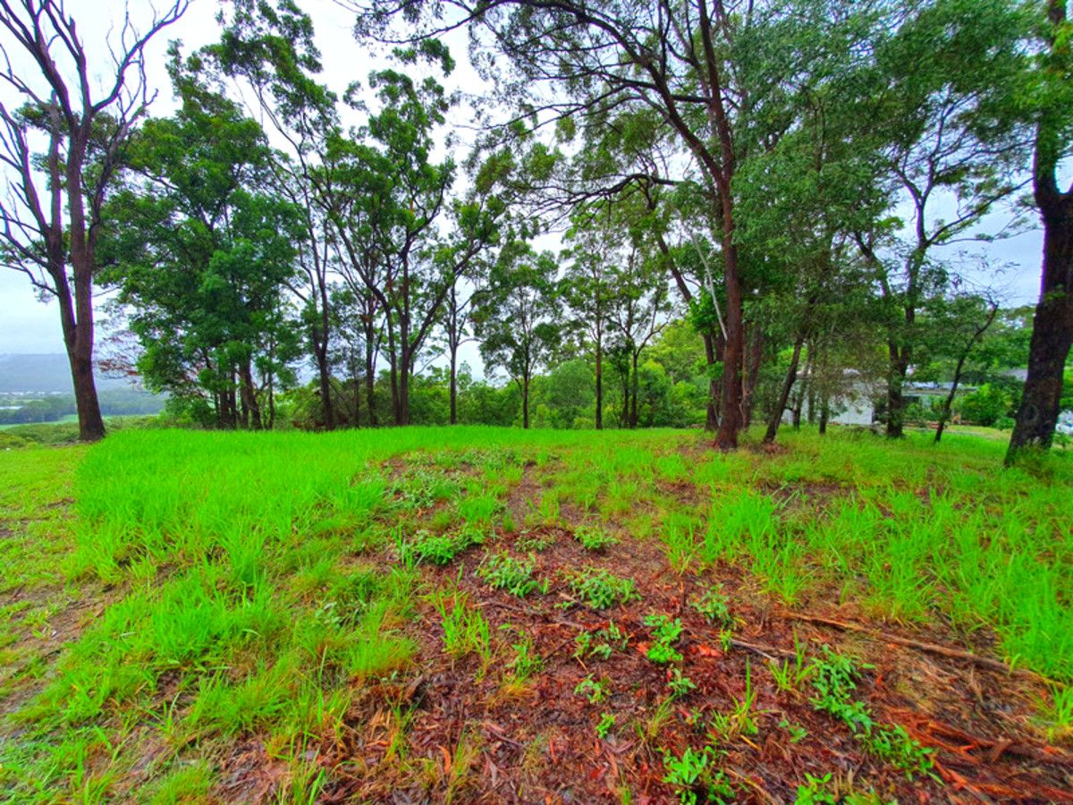 54 Whistler Ridge Drive, Yandina Creek QLD 4561, Image 2