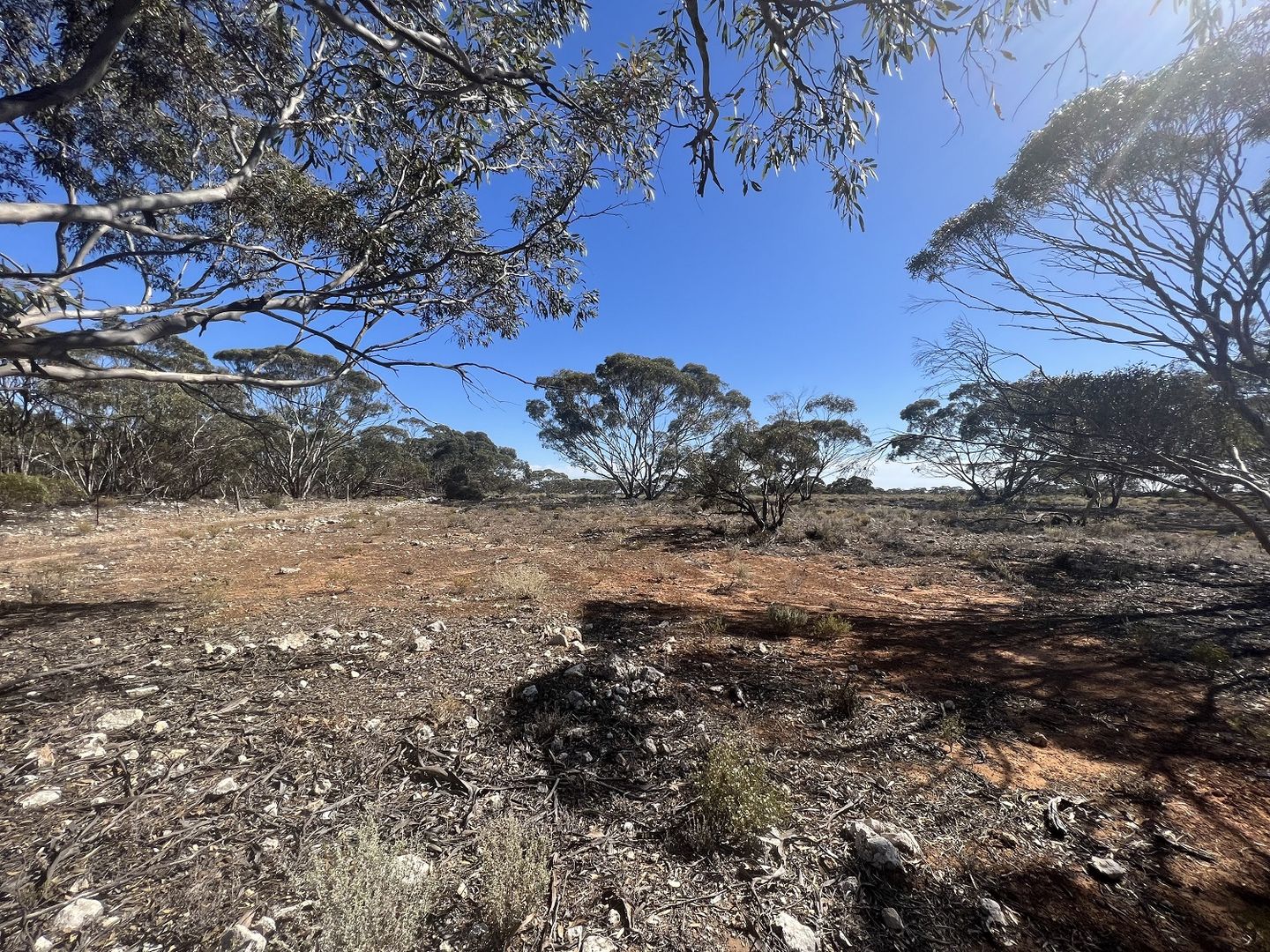 Lot 19 Sleeper Track, Swan Reach SA 5354 House for Sale Domain