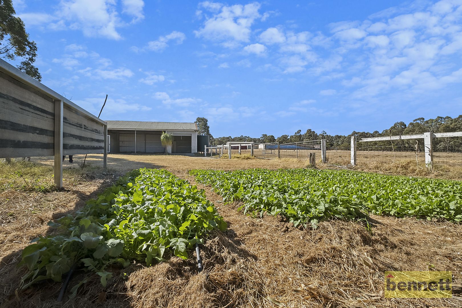 399-407 Londonderry Road, Londonderry NSW 2753, Image 1