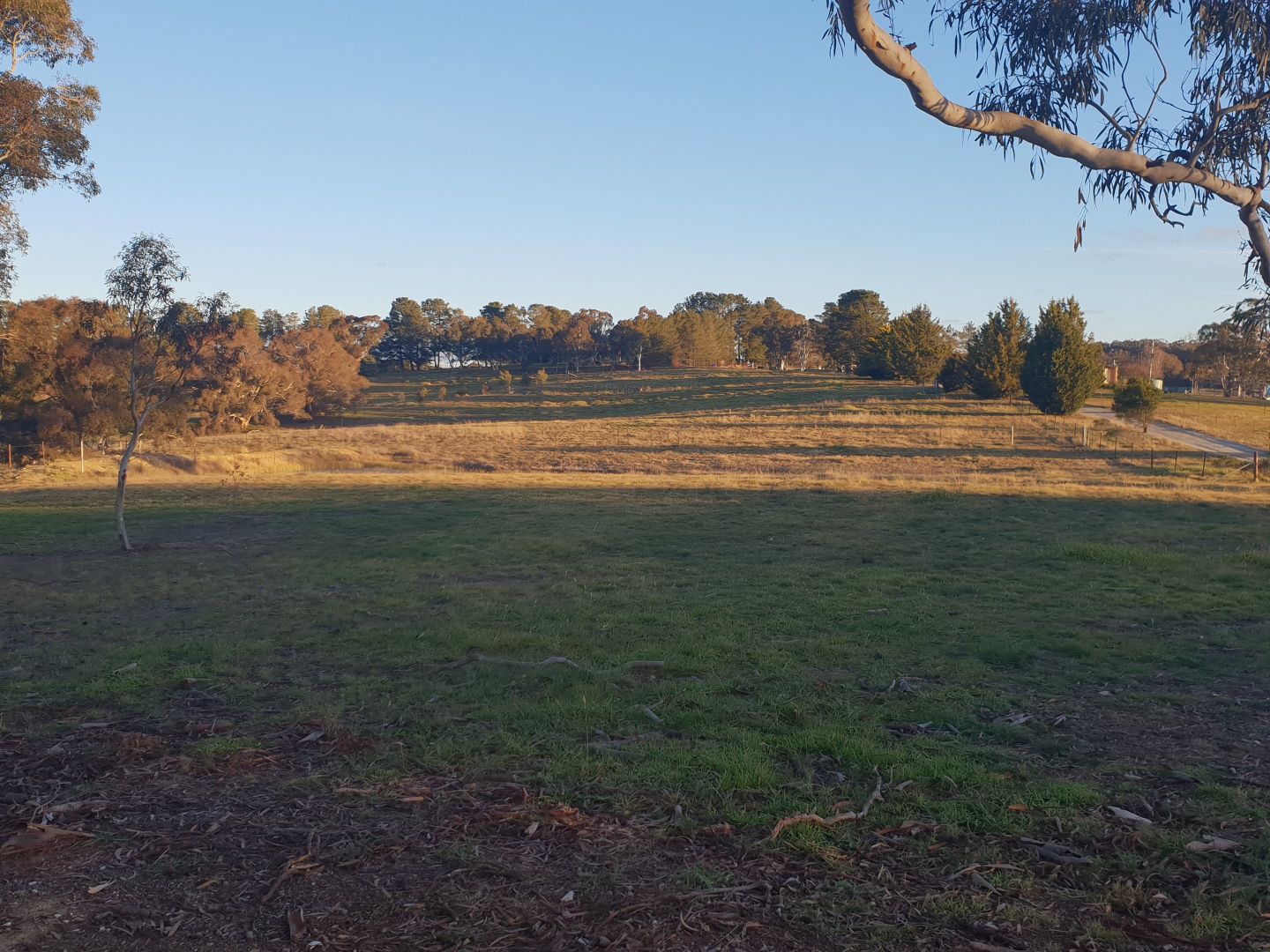 1181 Bungendore Road, Bywong NSW 2621, Image 2