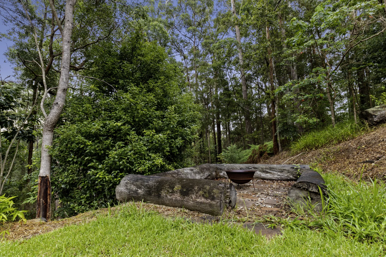 Image 37