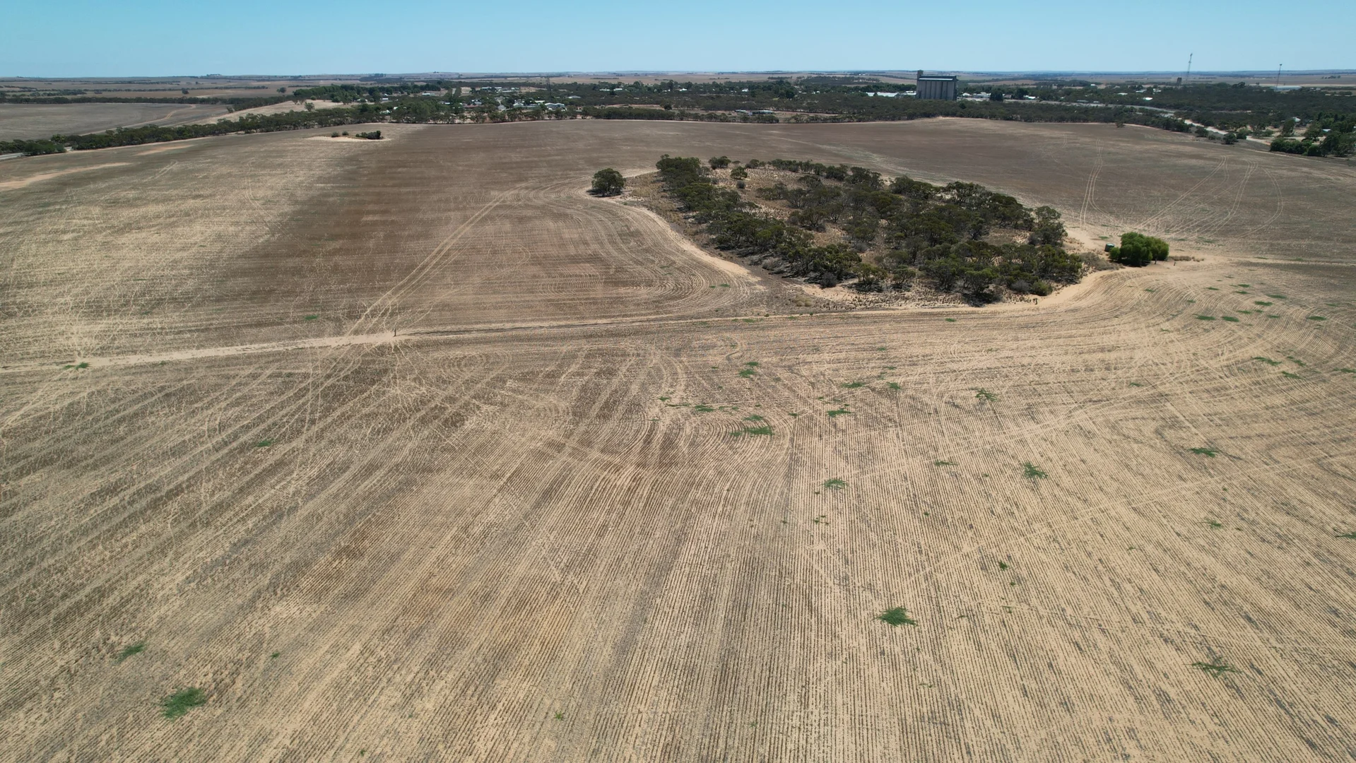 Image 10