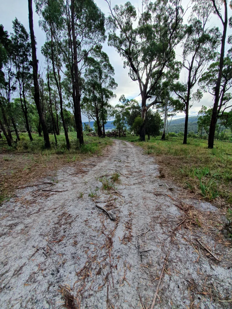Image 8
