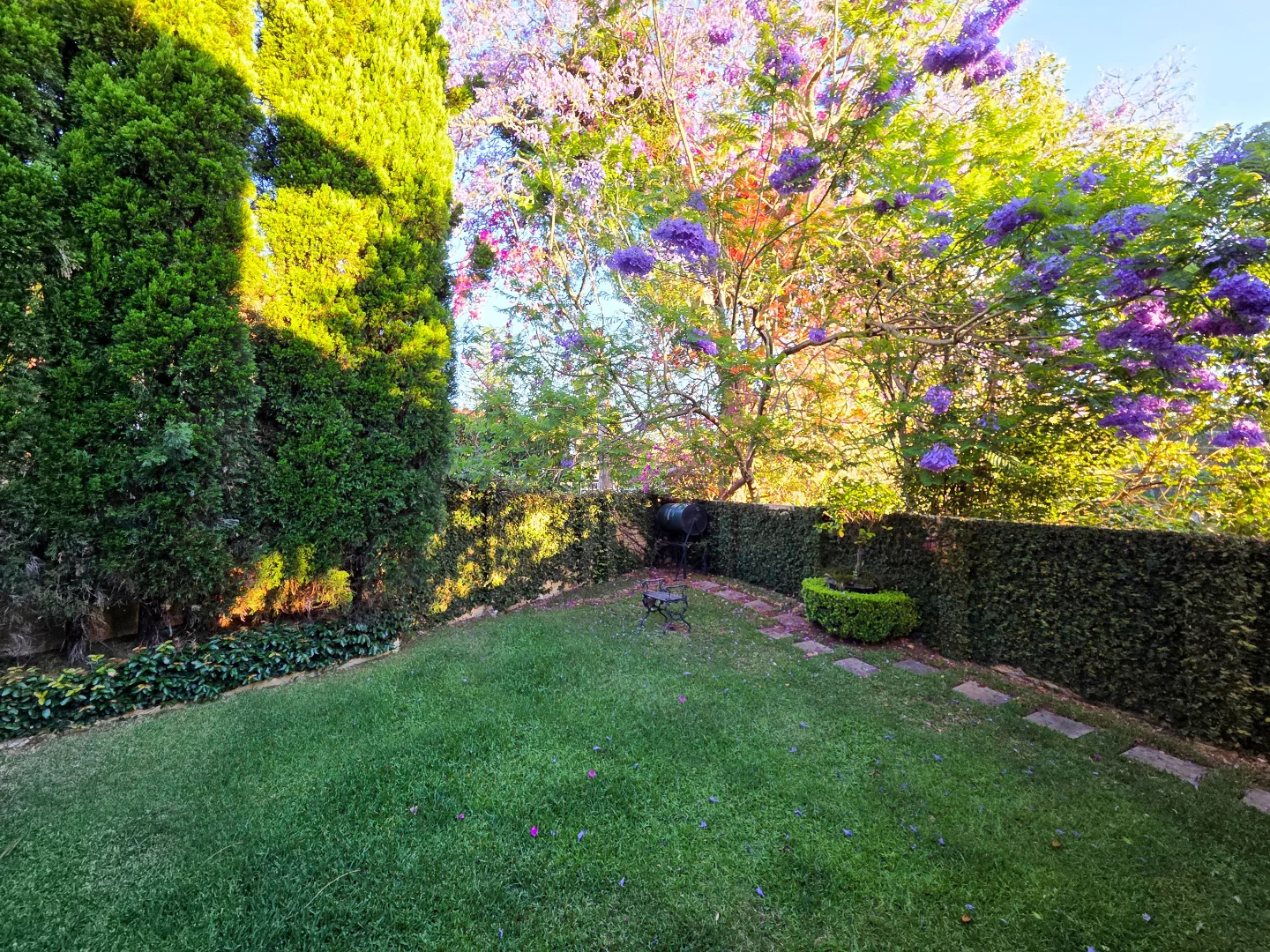 Image 21
