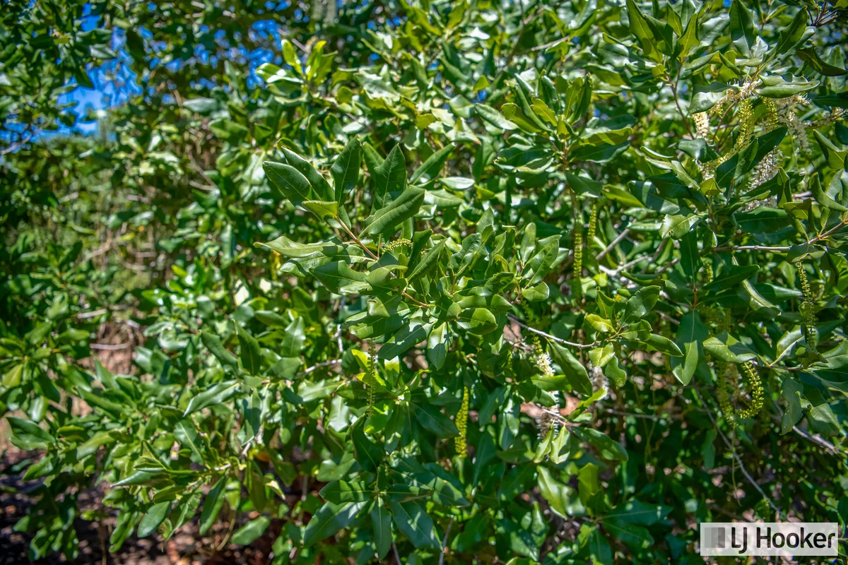 Additional image 19 of Meadowvale QLD 4670