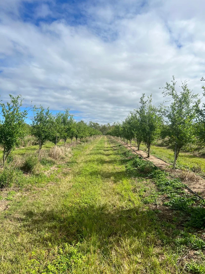 Additional image 22 of 440 Chewko Road, Mareeba QLD 4880