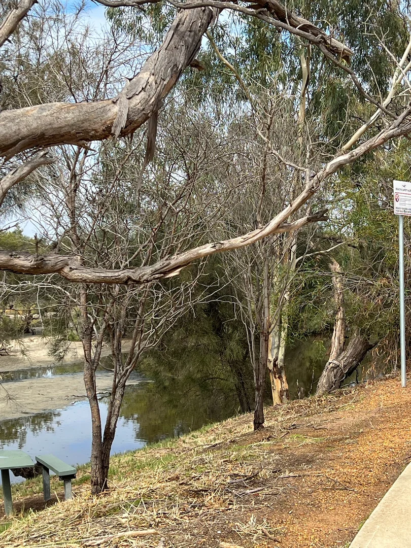 Additional image 11 of 9 Jessup Terrace, Northam WA 6401