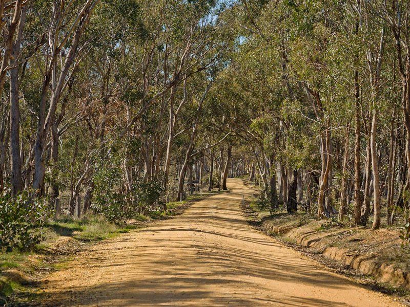 53 Pound Lane, Newstead VIC 3462, Image 2