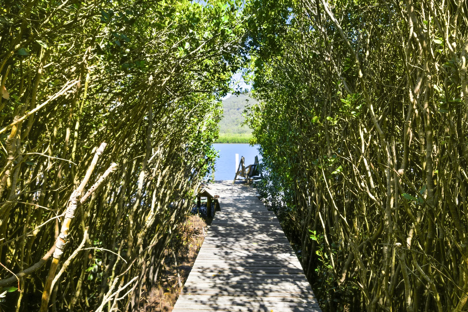 Image 19