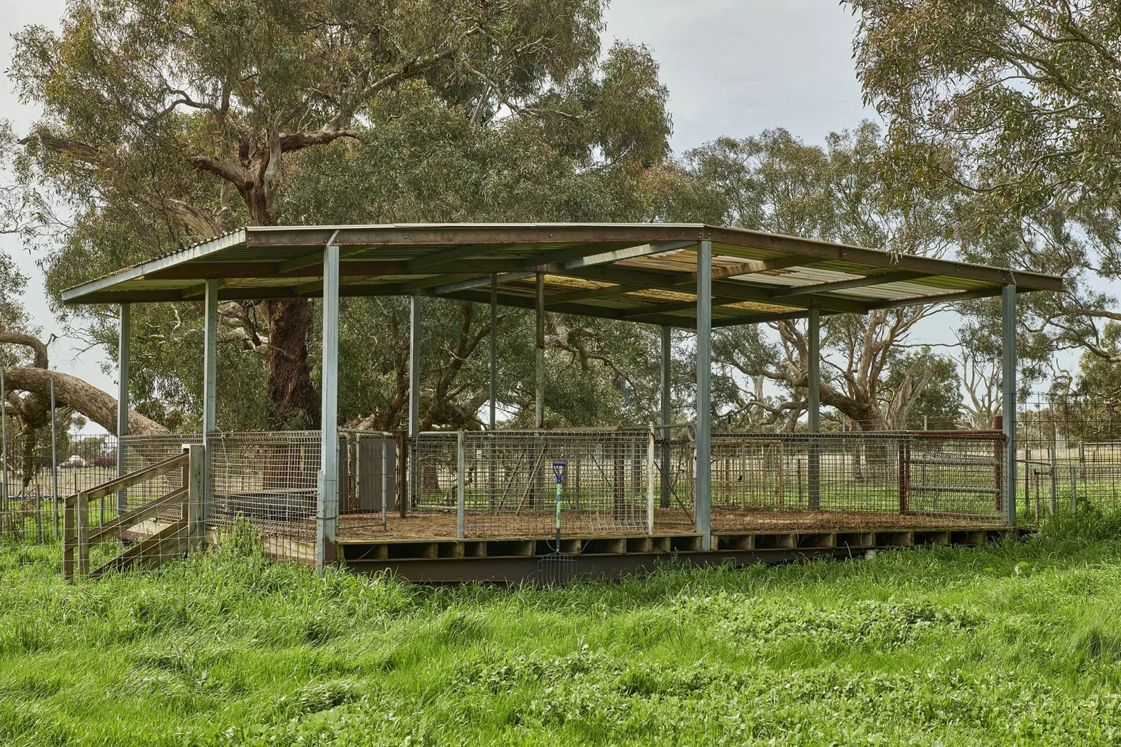 Image 12