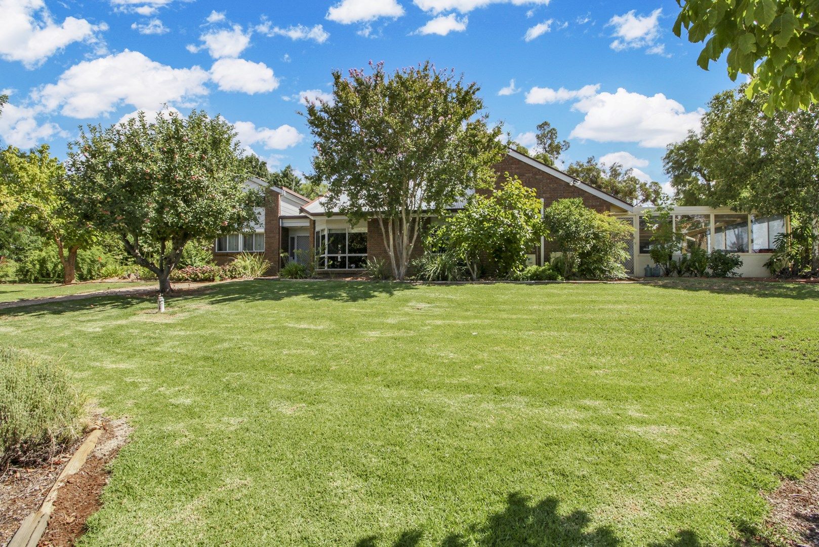 14 Konidaris Court, Berri SA 5343, Image 0